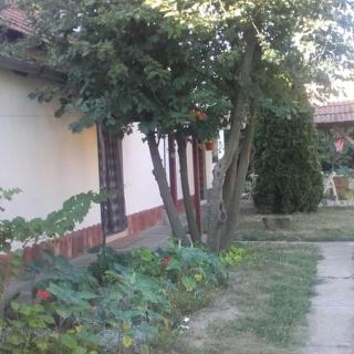 Rózsa vendégház - Abádszalók - 3