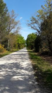 Hôtel Restaurant Les Bruyères - 6