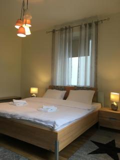 WALDSHUT SUITE IN ZENTRUM - Waldshut-Tiengen - 9