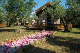 Agrikies Country Retreat - Marathopoli - 0