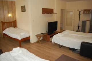 Hotel Vitosha - Trjavna - 9
