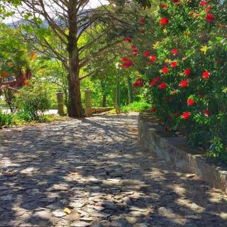 Quinta da Ermida - Turismo de Habitacao - Baião - 6