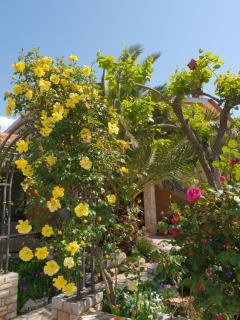 Luxury apartment Marin - Your summer paradise in Pomer, terrace, garden, summer kitchen with barbecue, near the beaches, Istria - 7