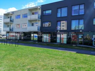 Papiniidu Studio Apartments - Pärnu - 8