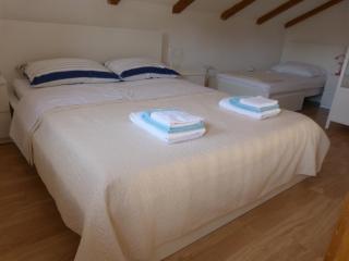 Studio apartman - MELLITUS - Molat - 2
