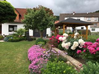 Im Herzen Deutschlands entspannen - Heilbad Heiligenstadt - 0