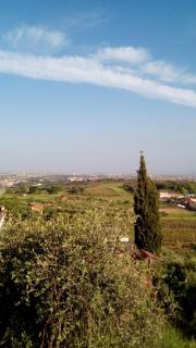 La Corte di Nonno - Frascati - 8