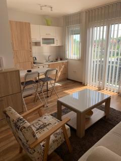 Maša Studio Apartman - Brčko - 3