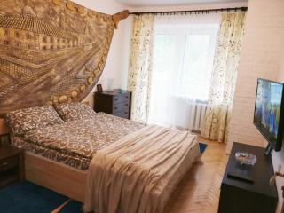 Very nice Apartment in L'viv - Lviv - 0