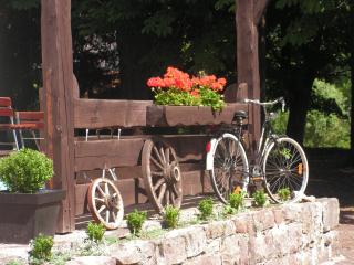 Hotel Sternen - Lenzkirch - 3