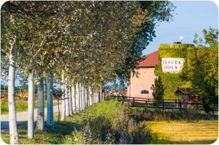 Tenuta Isola - 6