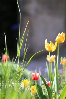 Stadtvilla Rosengasse 7 - 1