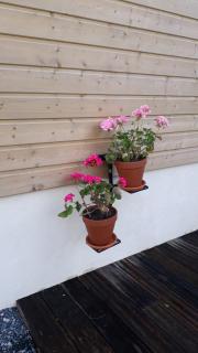 Gîte " Le Vieux Noyer" - 1