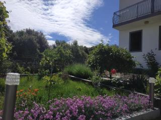 Apartment Lavanda Nova - Ražanj - 9