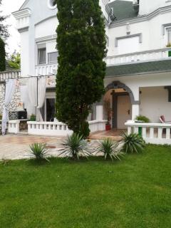 Vila Kraljica - Vrdnik - 4