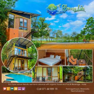 Breezy Lake - Tissamaharama - 9