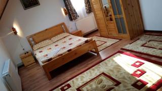 Pensiunea Montana Muntele Mic - 1