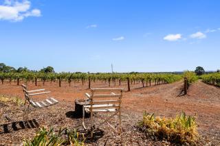 'In The Vines' Guest Cottage, Barossa Valley - Lights Pass - 6