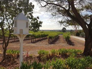 'In The Vines' Guest Cottage, Barossa Valley - Lights Pass - 0