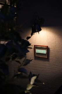 treeside - Yugawara - 8