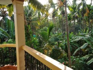 Indraprasth apartment - Palolem - 5