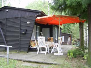 Ferienhaus Lilienstein - Bad Schandau - 0
