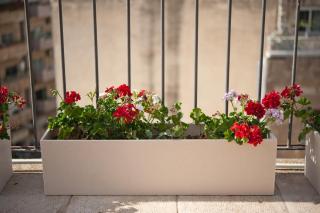 Montefiore Hotel By Smart Hotels - 2