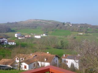 Appartement au coeur du pays basque : vue superbe - Saint-Esteben - 7