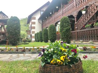 Pensiunea Cretuca - 3