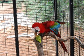 Trulli Dal Conte - 3