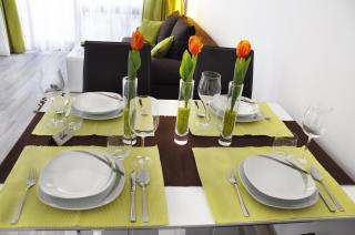 Traditional Apartments Vienna TAV - 5