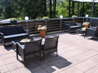 Pension Haus am Wald - Braunlage - 1