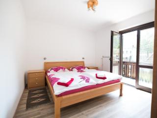 Apartments and rooms Nataša 2 - 1