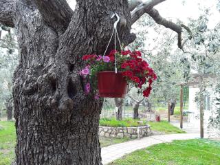 House Christie - Chrysi Ammoudia - 6