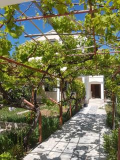 Apartments Tatjana - Pag - 7
