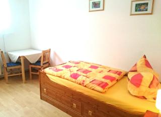 Ferienwohnung Wolf mit Kaminofen - Zorge - 3