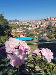 Villa Caterina - Imperia - 1