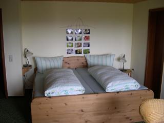 Gesundheitshotel Haus Sonnenstein - Salem - 8
