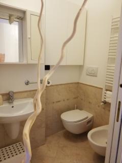 Namaste Luxury Guest House - Bari - 5