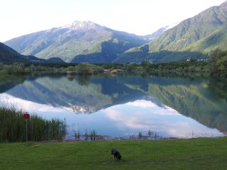 Domaine de la Safranière - Chambre d'hote - Saint-Léger - 6