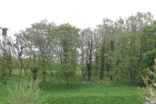 Grand studio privé tout confort proche Paris - 5