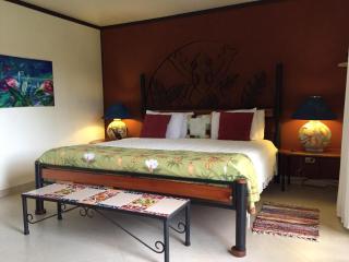 Lucky Bug Bed And Breakfast - Nuevo Arenal - 1