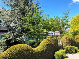 Pension zum Brauhaus - Stralsund - 2