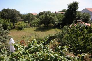 Apartments with parking spaces Kampor, Rab - 5014 - Kampor - 6