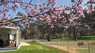 Rosewood Cottage - 7