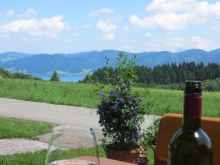 Ferienwohnung Brigitte Perner - Nussdorf am Attersee - 5