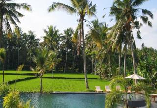 Bhanuswari Villas Ubud - Ubud - 0
