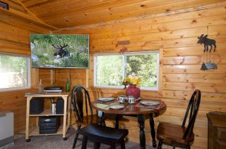 Remington Retreat by KABINO Dog Friendly FirePit Sleeper Sofa WiFi Grill - 9