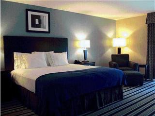Holiday Inn Express Hotel & Suites Baton Rouge -Port Allen by IHG - Port Allen - 9