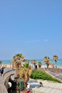 POOL GYM AND BEACH FRONT 3 BEDROOMS LUXURY TEL AVIV APARTMENT - Tel Aviv - 1